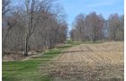 Property photo 120 - REAL ESTATE & PERSONAL PROPERTY AUCTION, 140 Acres offered in 8 Tracts or Combinations in Steuben County